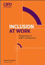 Inclusion at work: perspectives on LGBT+ working lives
